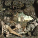 Illustration for article titled Wax Anatomical Models of Plague Victims from the Seventeenth Century